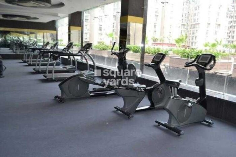 Amrapali Zodiac Gymnasium Image