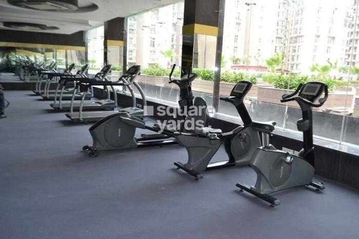 Amrapali Zodiac Gymnasium Image