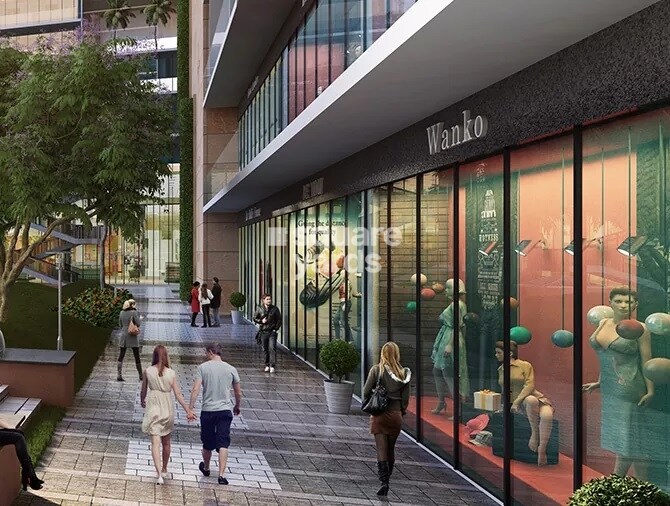 Anthurium Amenities-Features 1