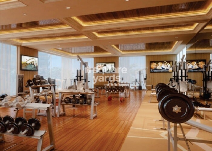 Apex Athena Gymnasium Image