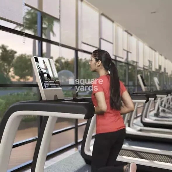 ATS Knightsbridge Gymnasium Image