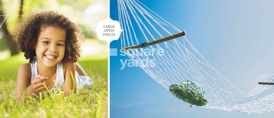 Bhasin Mist Bungalows