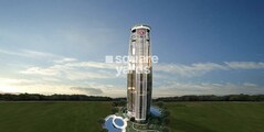 Brys Buzz