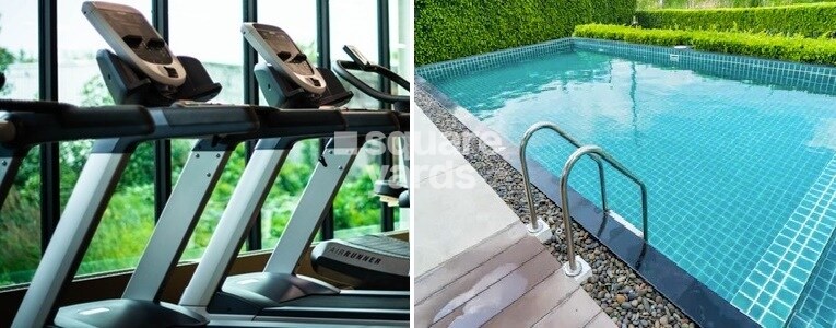 Divine Meadows Amenities-Features