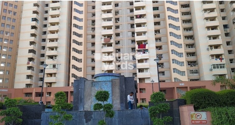 Divine Meadows Tower View 2