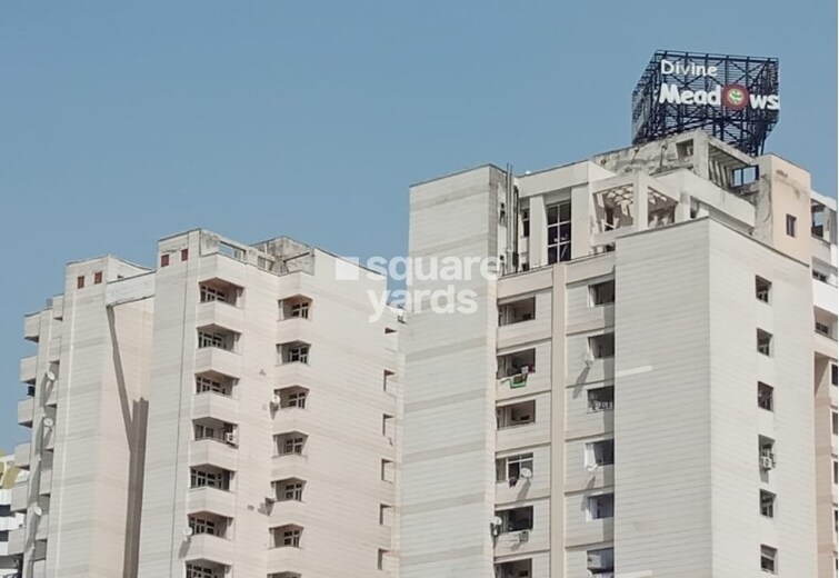 Divine Meadows Tower View 4