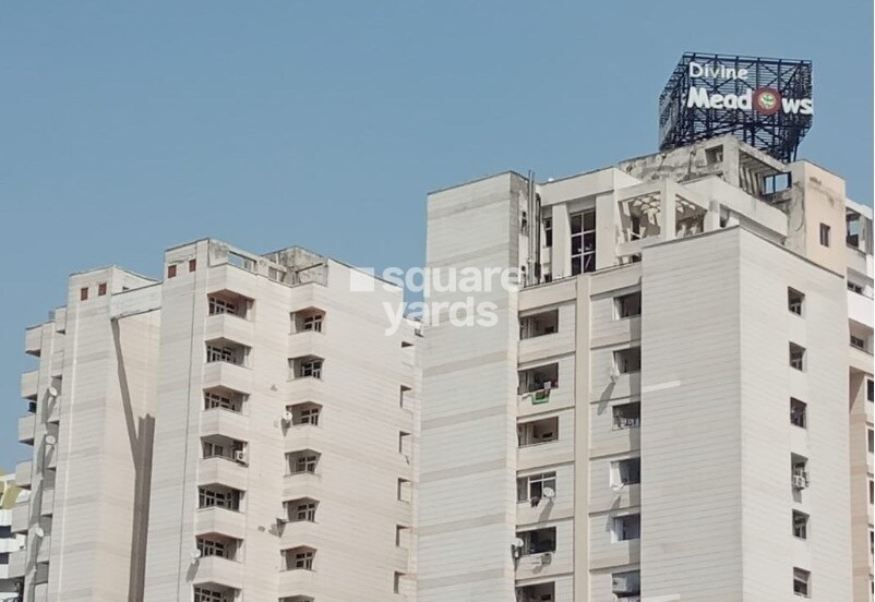 Divine Meadows Tower View 4