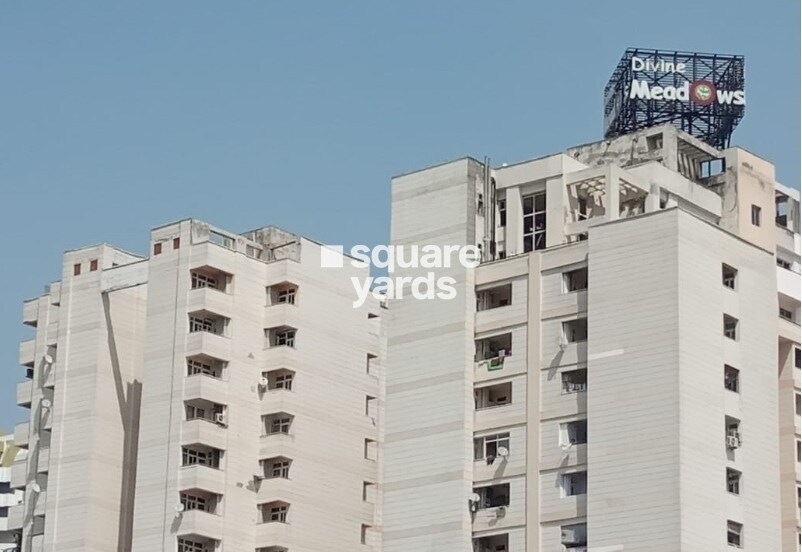 Elixir Divine Meadows