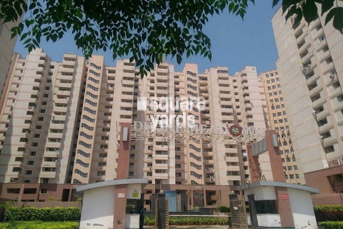 Elixir Divine Meadows