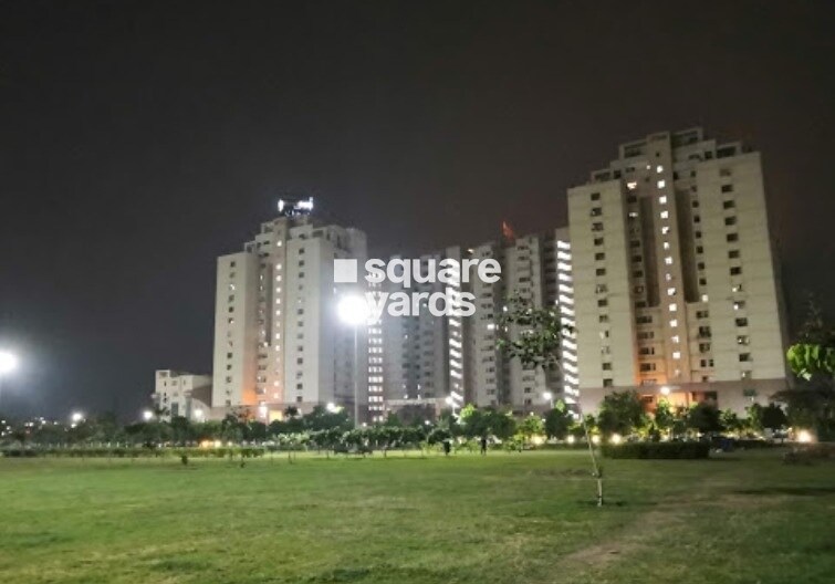 Elixir Divine Meadows