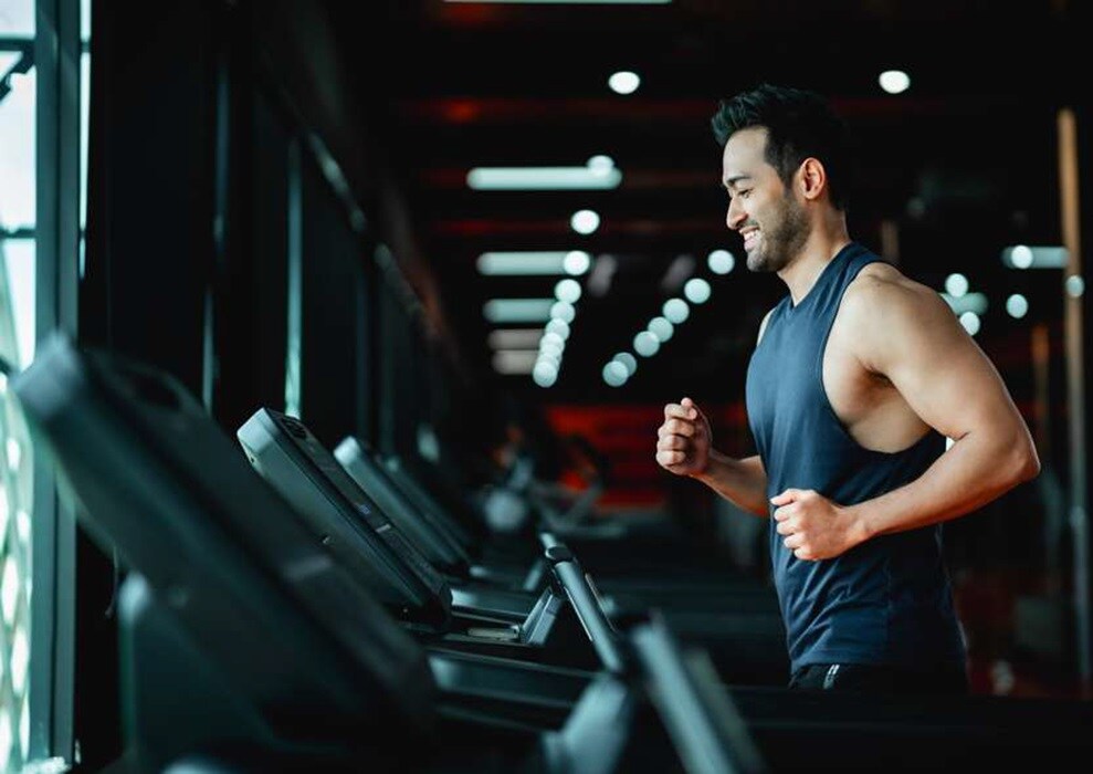 Exotica 132 Gymnasium Image