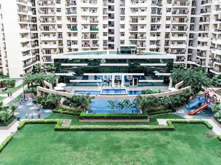 Exotica Fresco Amenities-Features 3