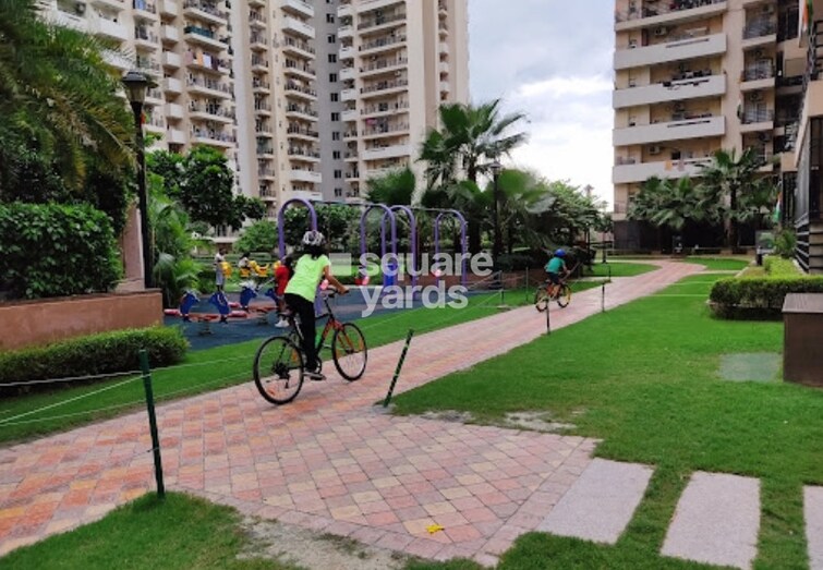 Exotica Fresco Amenities-Features 5