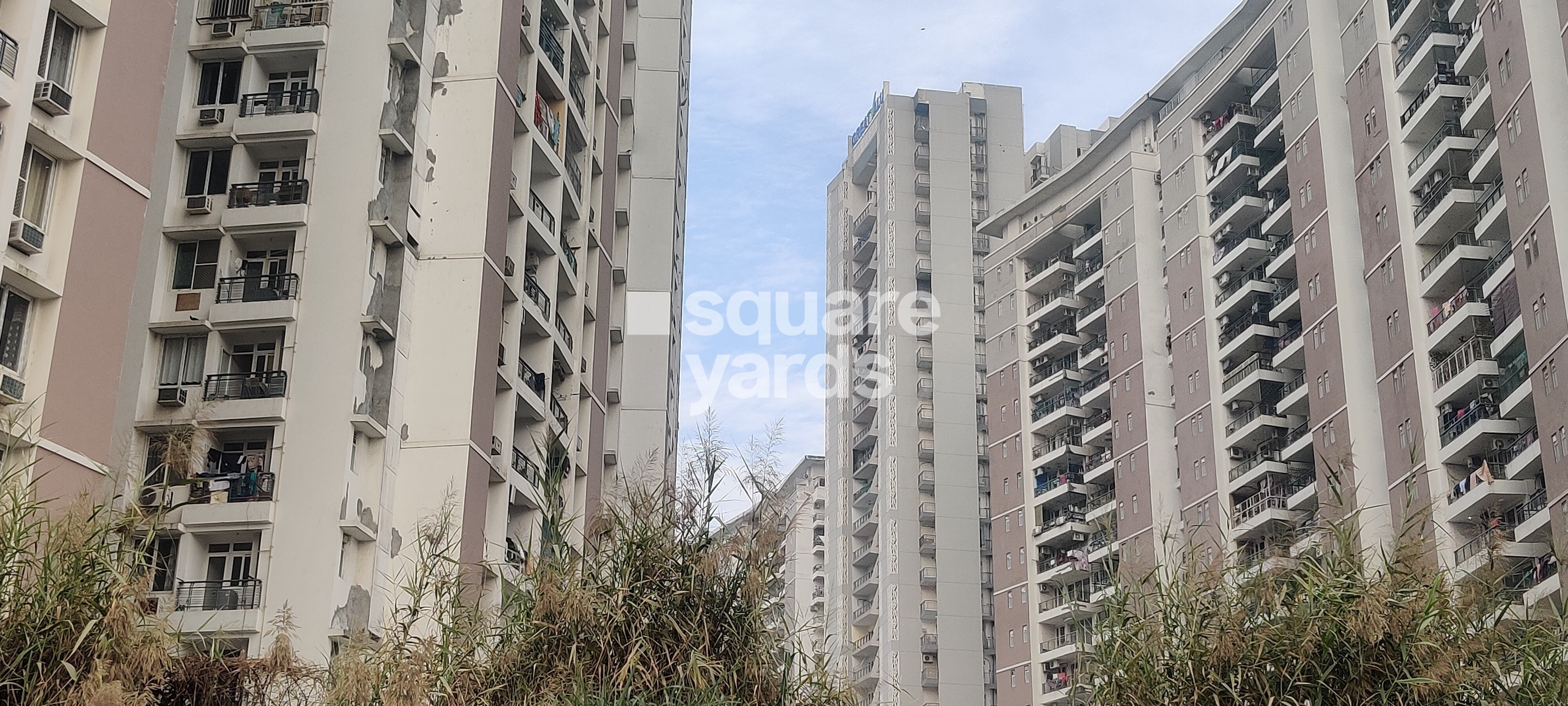 Great Value Sharanam Tower View 2