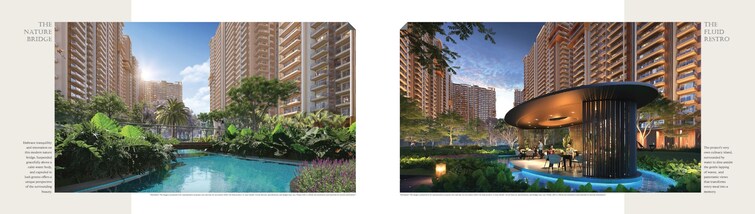 Ivory County Amenities-Features 2