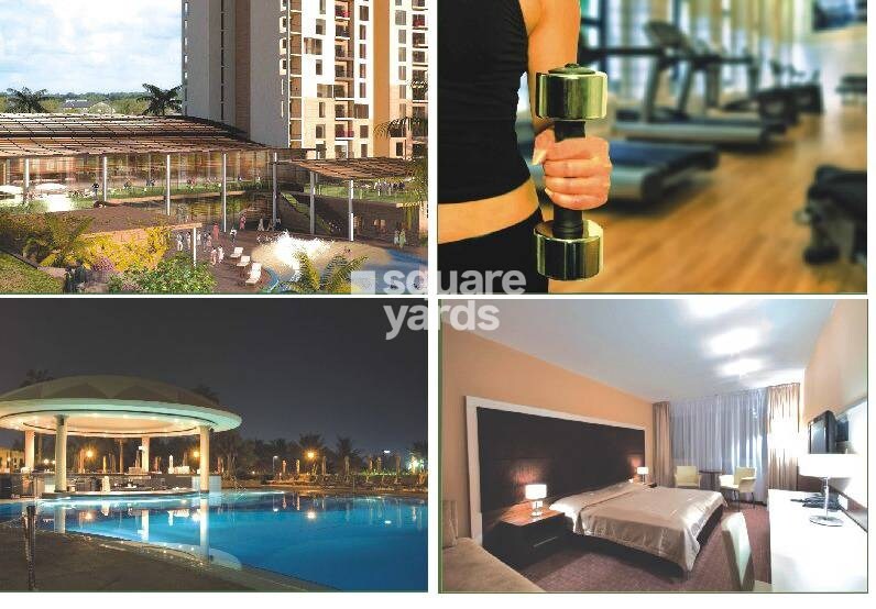 Logix Blossom County