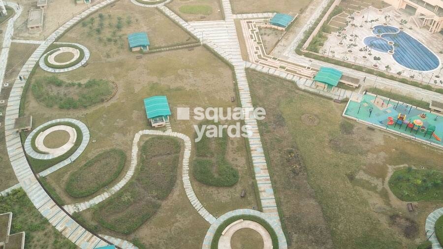 Logix Blossom County