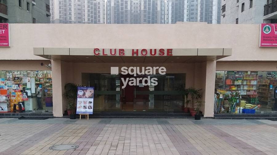 Logix Blossom County