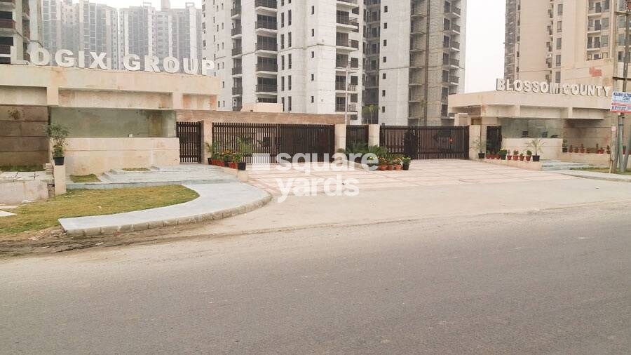 Logix Blossom County