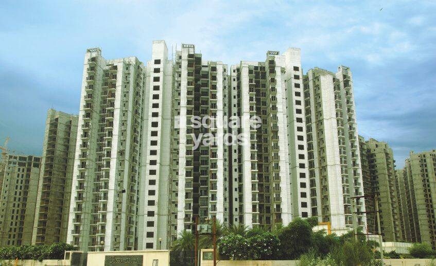 Logix Blossom County