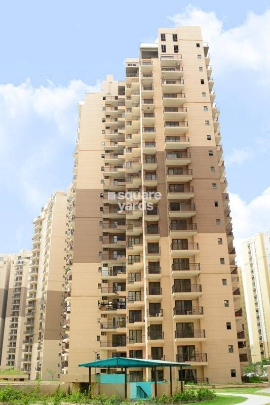 Logix Blossom County