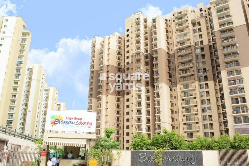 Logix Blossom County