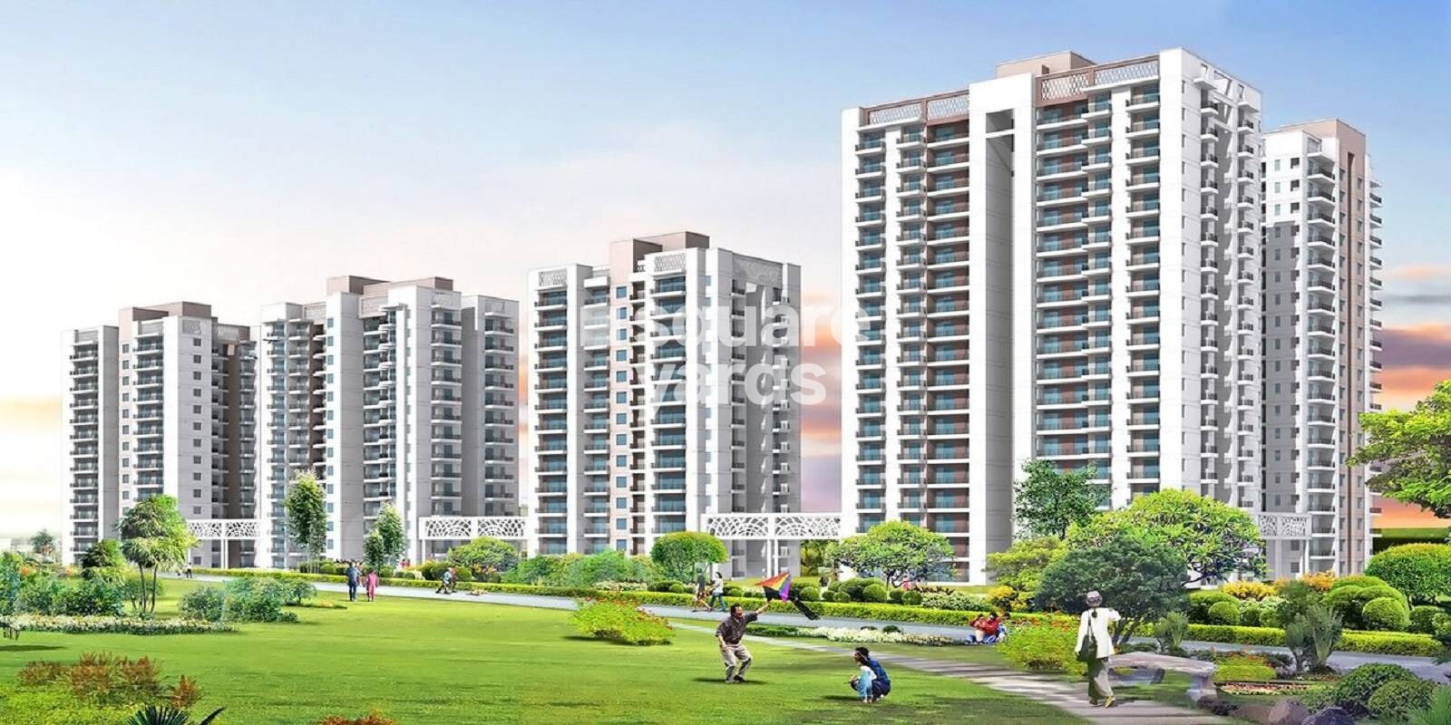 Maxblis White House-II