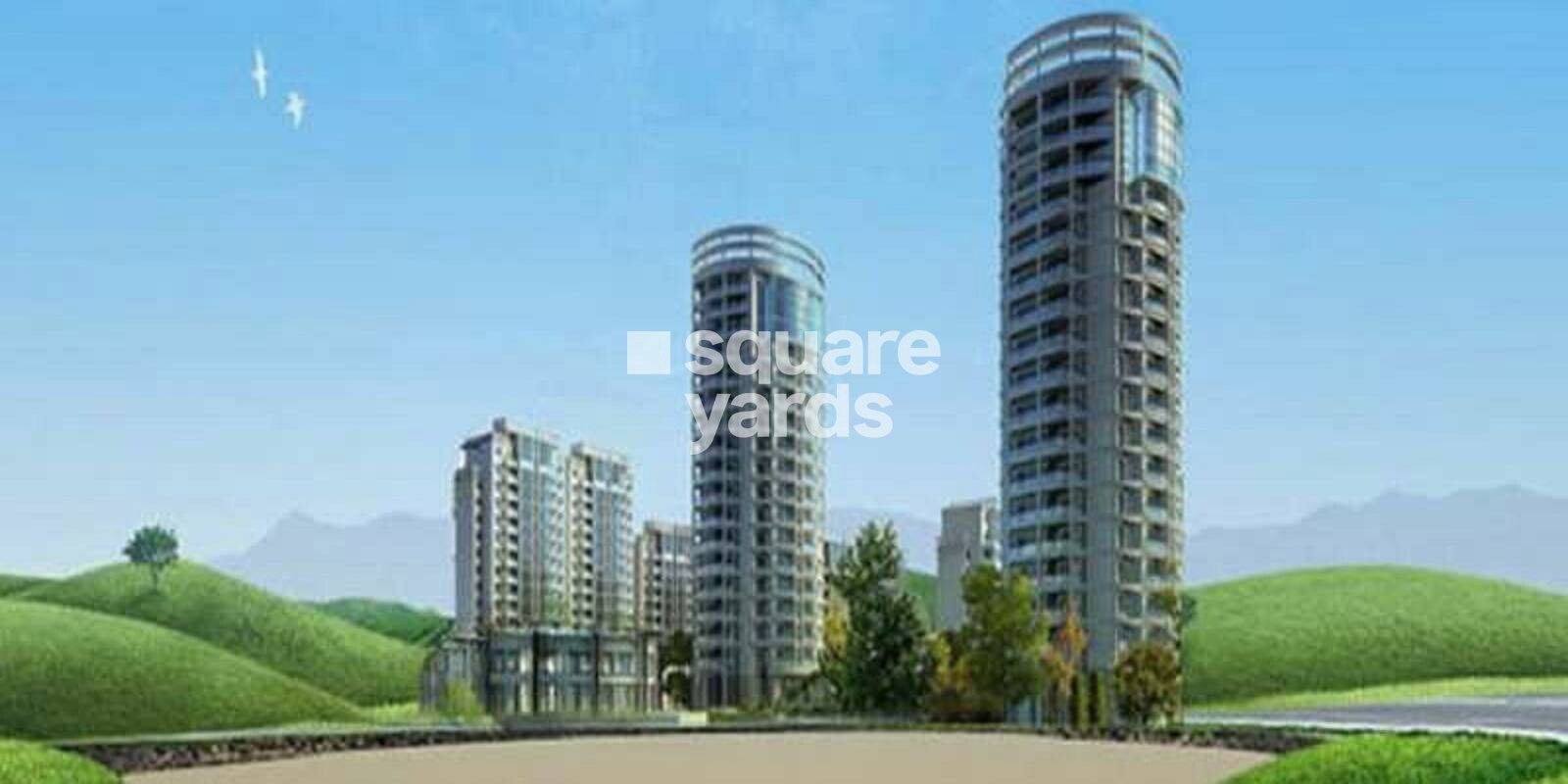 NCR Olympia Featured Image