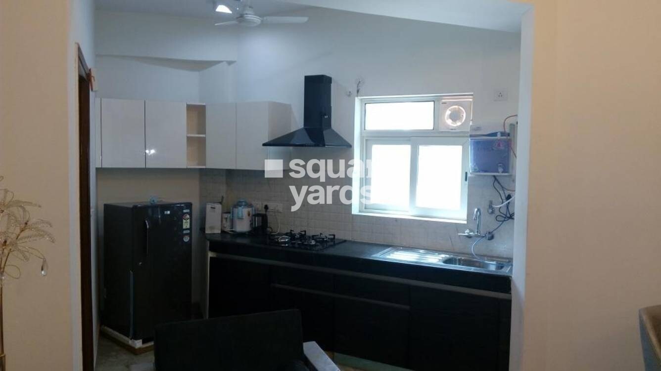 Nimbus The Golden Palm Apartment Interiors 1