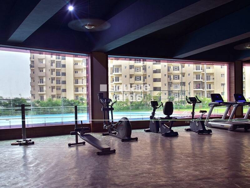 Paramount Floraville Amenities-Features 3