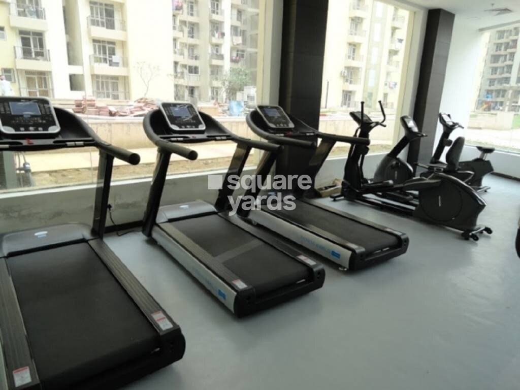 Prateek Laurel Gymnasium Image