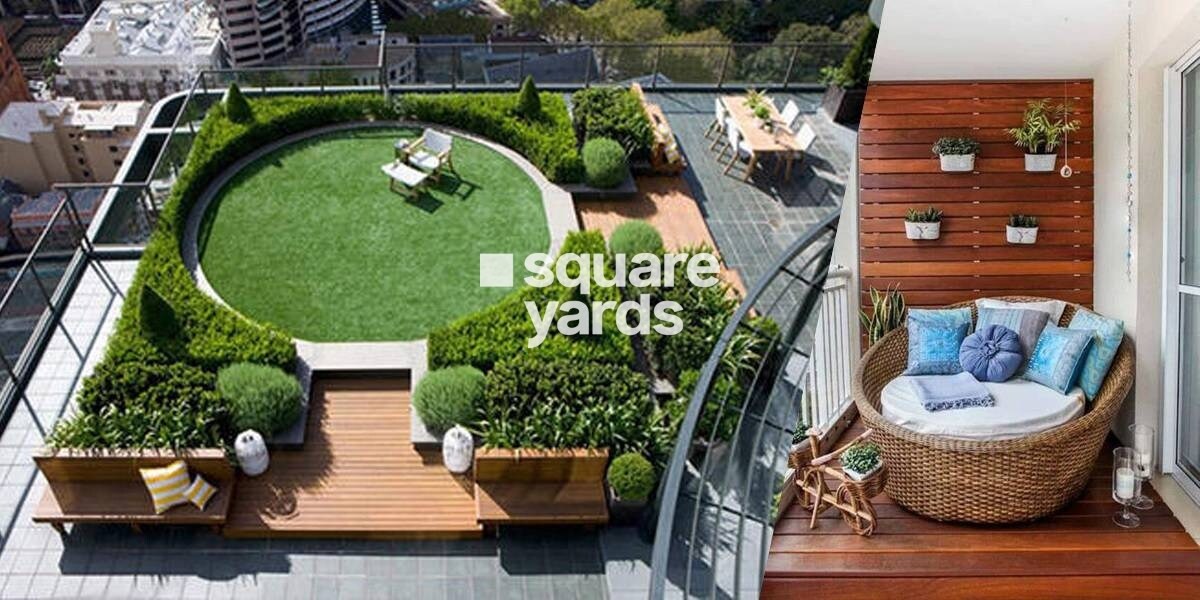 Radhey Krishna Orchid