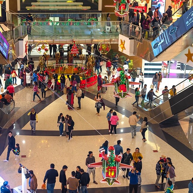 Representative image as actual visual unavailable for Saya Piazza