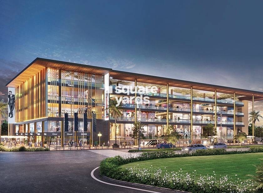 Representative image as actual visual unavailable for Saya Piazza