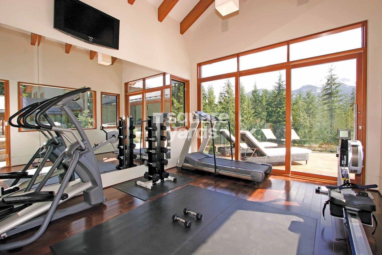 SDS NRI Residency Gymnasium Image