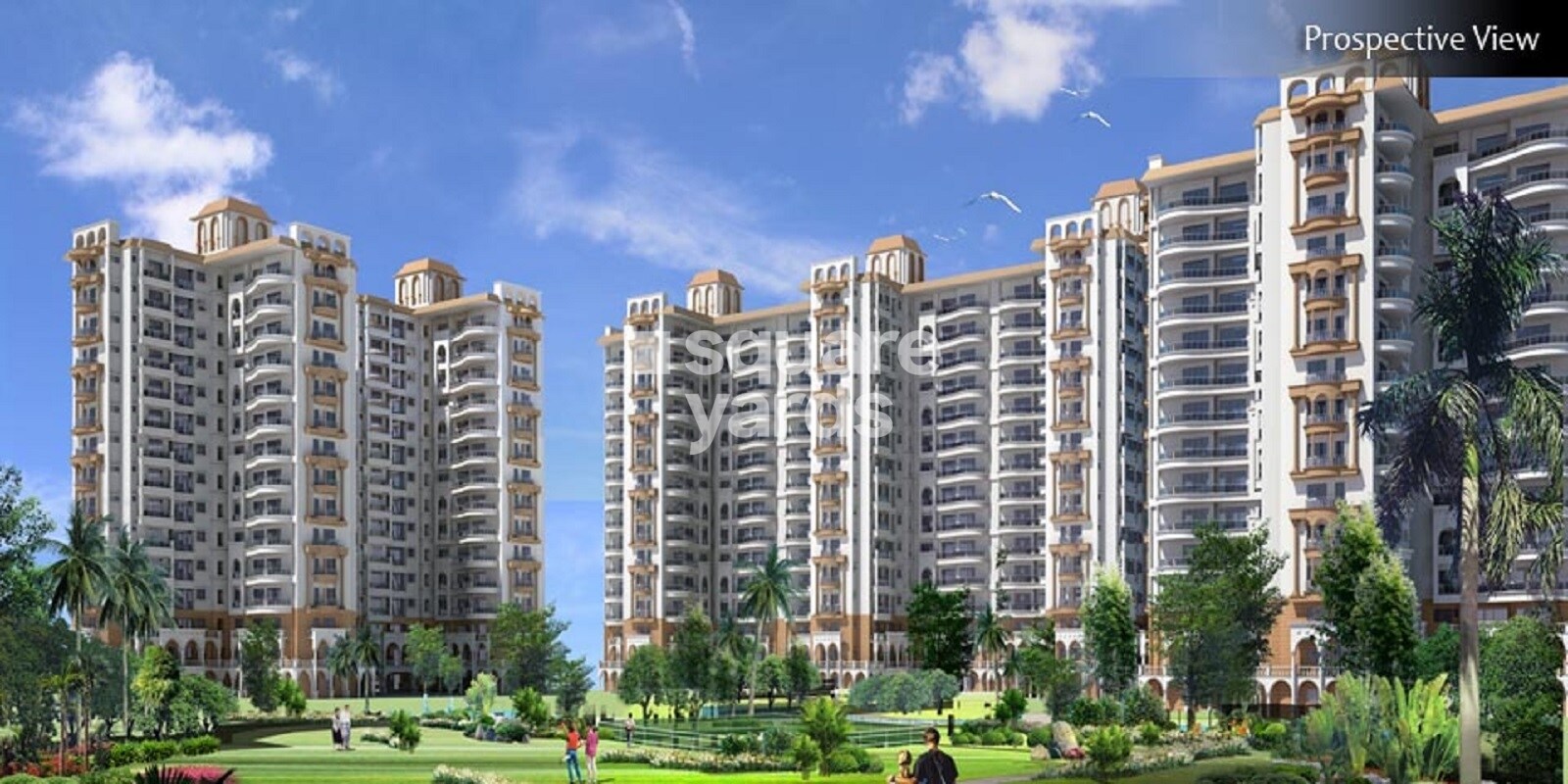 SDS NRI Residency