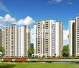Supertech Renesa