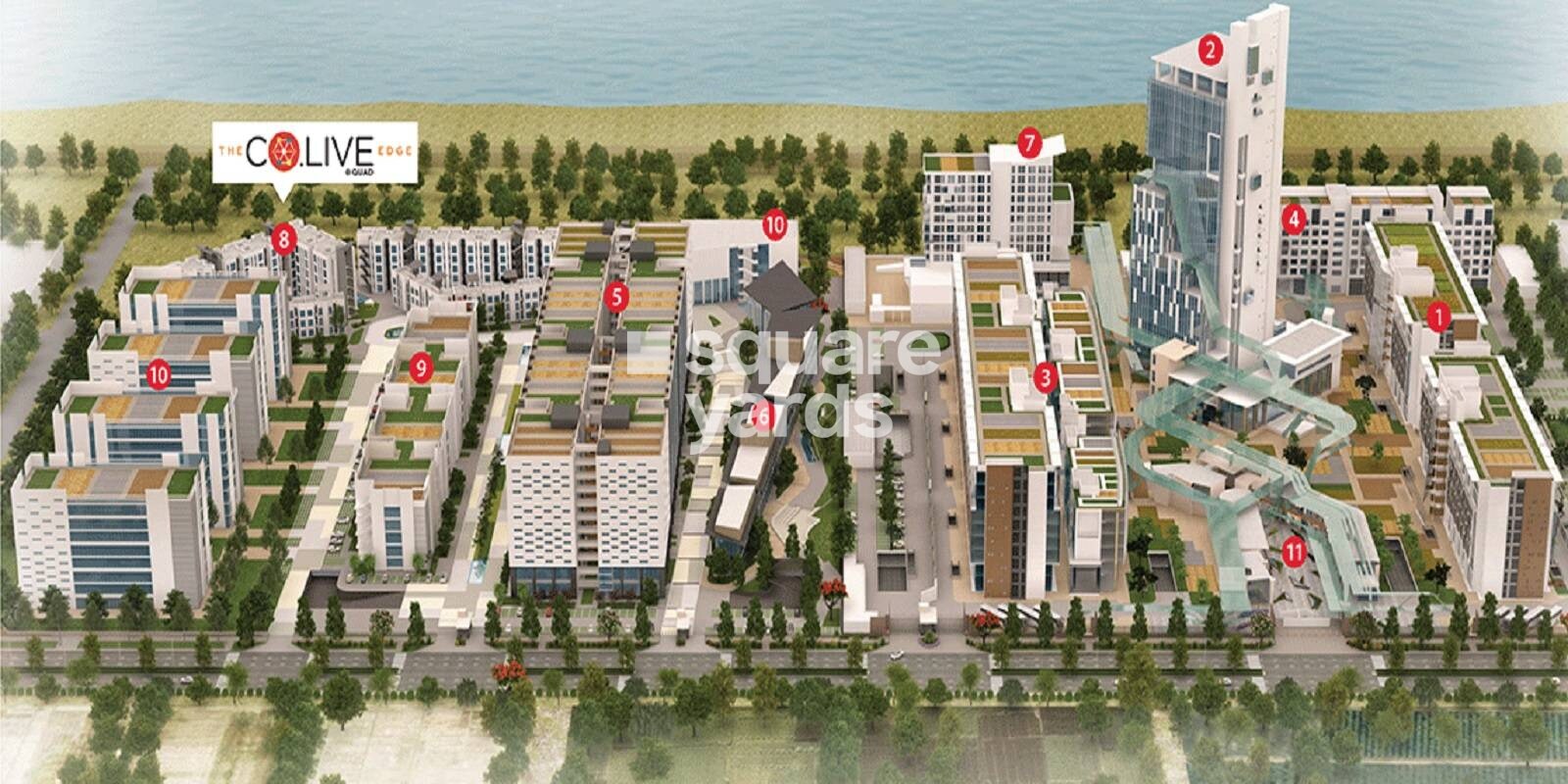 WTC Co Live Featured Image