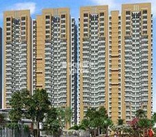 Ace Icon Featured Image