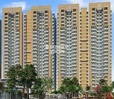 Ace Icon Featured Image