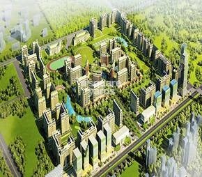 Aims Golf City