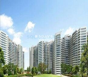Amrapali Pan Oasis