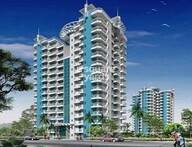 tn gardenia grace project flagship1