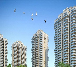 7th Avenue Gaur City Noida Extension Trisol Red 8750 577 477