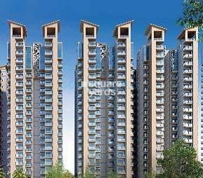Gaur Sportswood