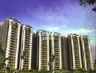 tn logix blossom county project flagship1