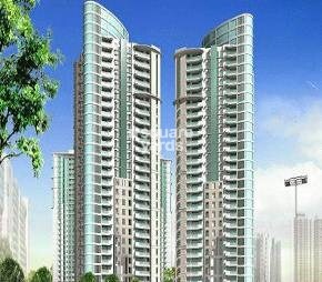 Lotus Square