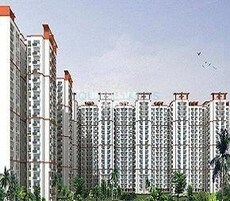 Morpheus Greens Featured Image