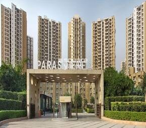 Paras Tierea