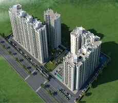 Sethi Max Royal Featured Image